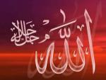 mosqu�ebdr
